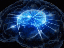 big brain meme